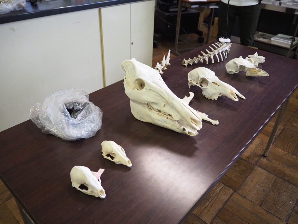 画像に alt 属性が指定されていません。ファイル名: P1011611-1024x768.jpg